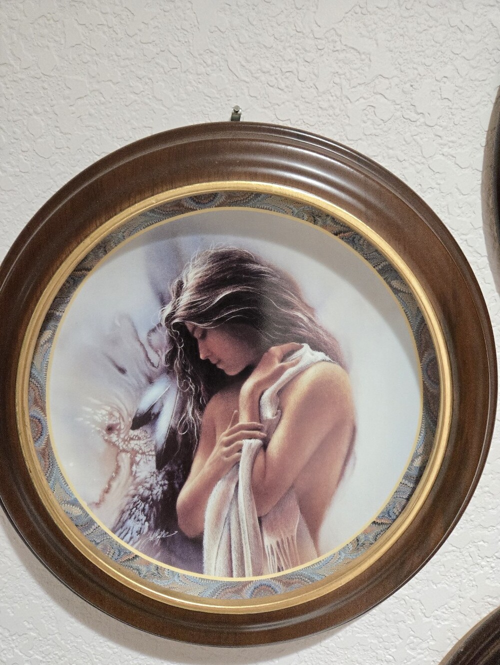 The Bradford Exchange Framed "Morning Star"
